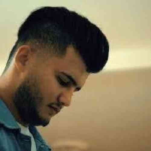 محمد محمدی زهر مار